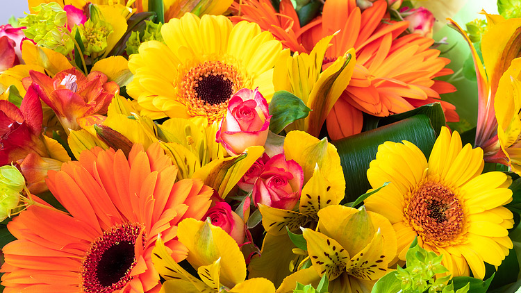Picture of Floral Bold & Beauty Sunflower Bouquet