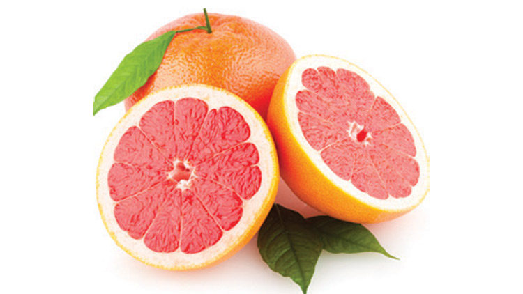 Picture of Large Grapefruit