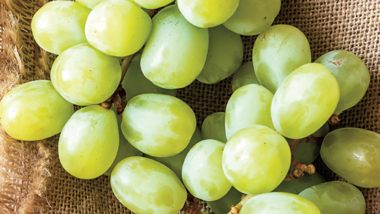 Picture of XL Green Seedless Grapes