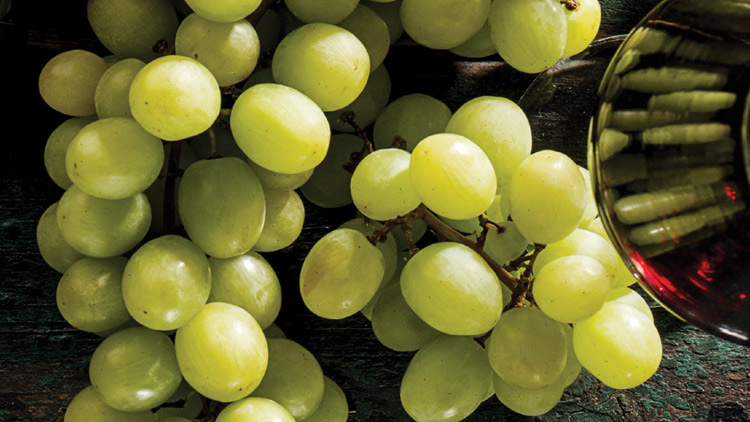 Picture of Extra Large Seedless Green Grapes