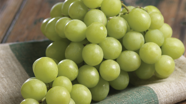 Picture of XL Green Seedless Grapes