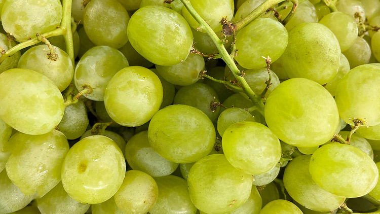 Picture of Epic Crisp Green Seedless Grapes