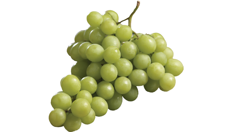 Picture of XL Green Seedless Grapes