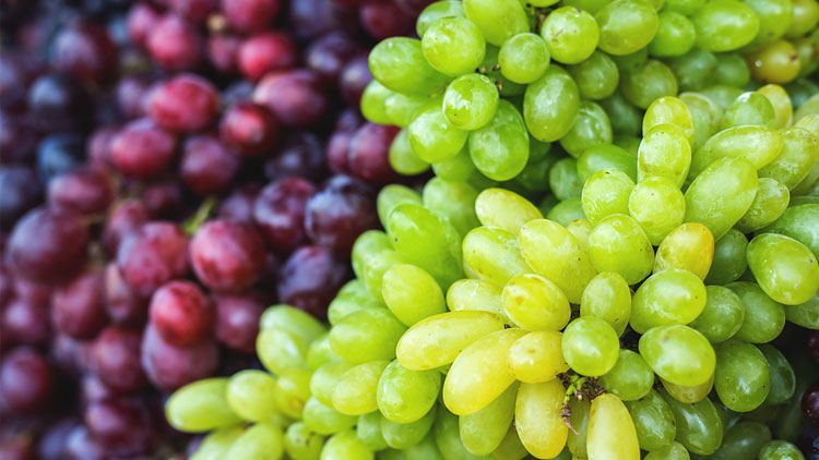 Picture of Red or Green Seedless Grapes