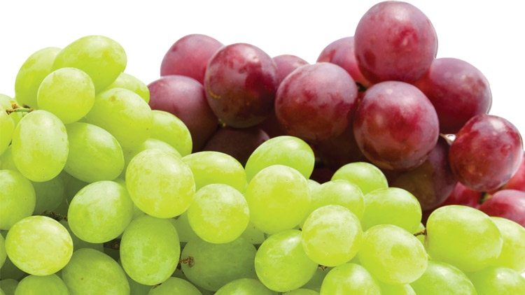 Picture of California Red or Green Seedless Grapes