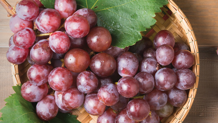 Picture of XL Seedless Red Grapes