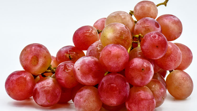 Picture of Extra Large Red Seedless Grapes