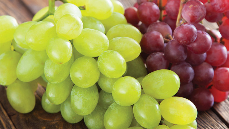Picture of XL Red or Green Seedless Grapes