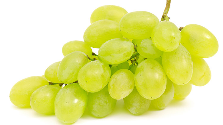 Picture of Extra Large Green Seedless Grapes