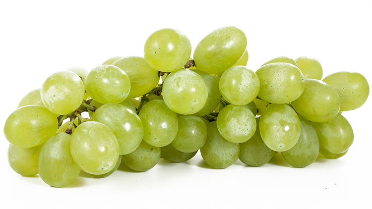 Picture of Extra Large Green Seedless Grapes