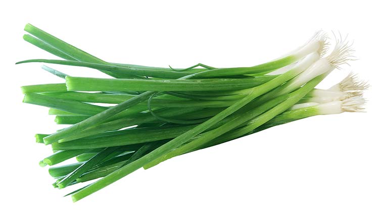 Picture of Green Onions