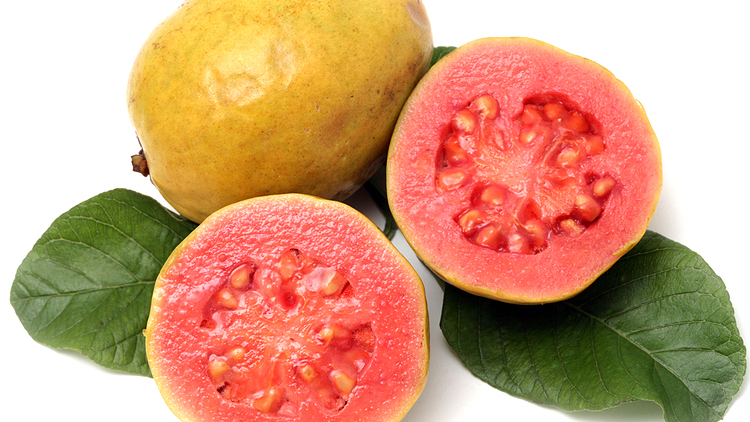 Picture of Fresh Guava