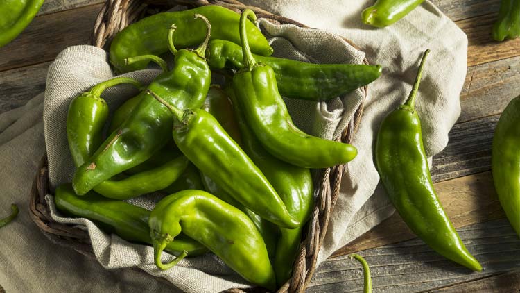 Picture of Long Green Chiles