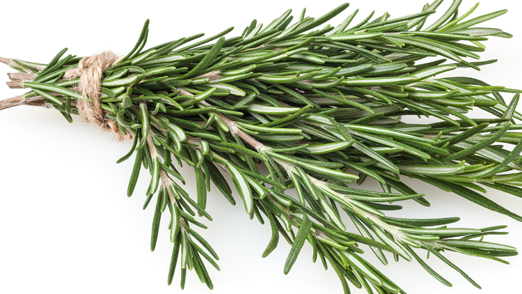 Picture of Wild Harvest Organic Fresh Herbs