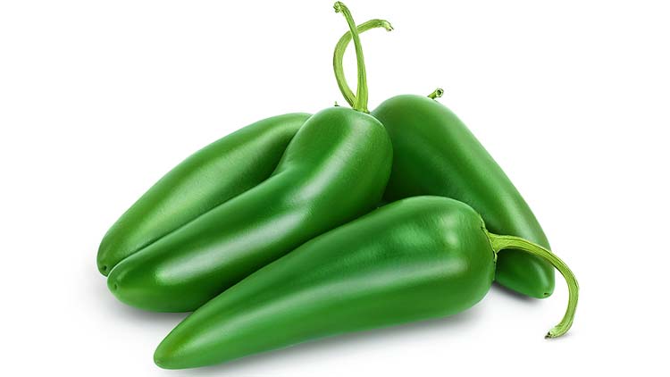 Picture of Jalapeno Peppers