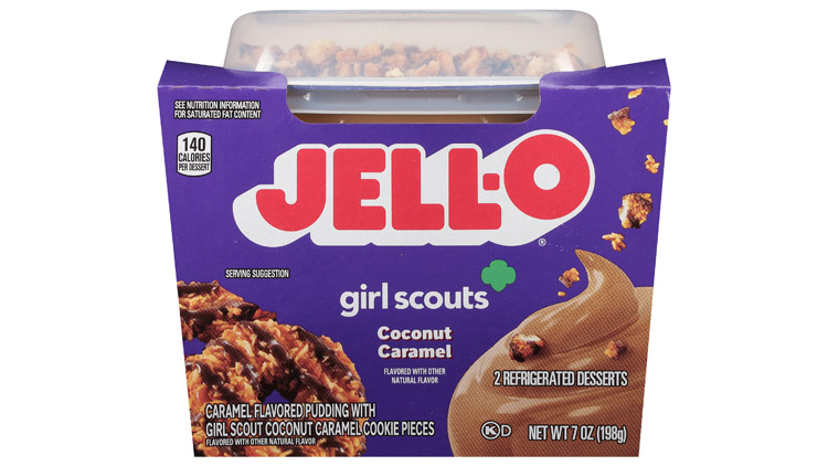 Picture of Jell-O Girl Scouts Desserts or Lactaid Sour Cream