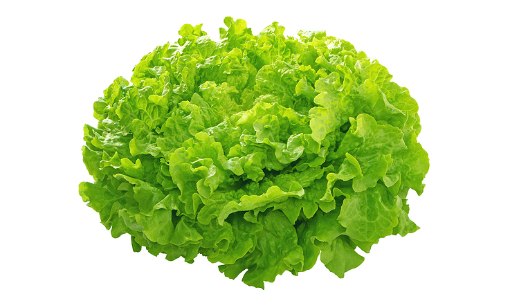 Picture of Green Leaf Lettuce