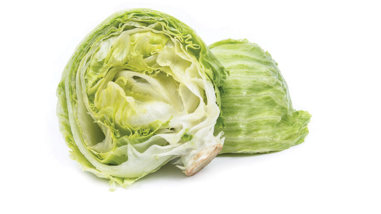Picture of Fresh Iceberg Lettuce