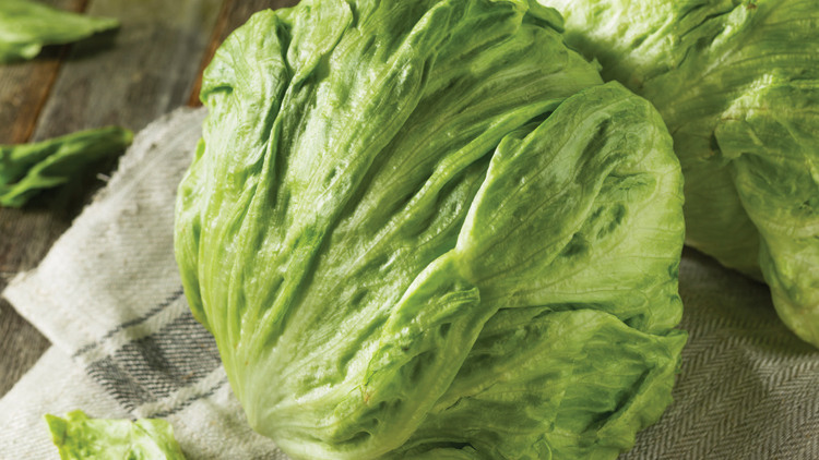 Picture of Fresh Iceberg Lettuce