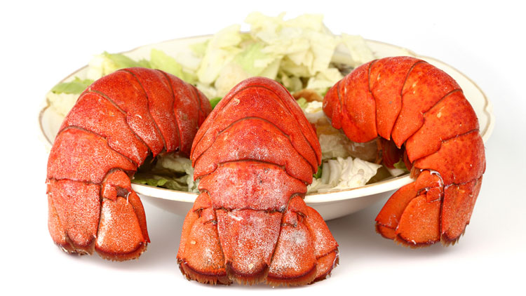 Picture of Lobster Tail