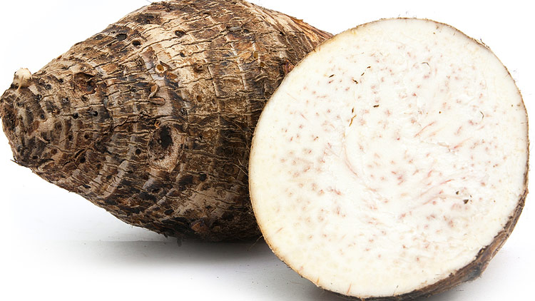 Picture of Malanga Coco
