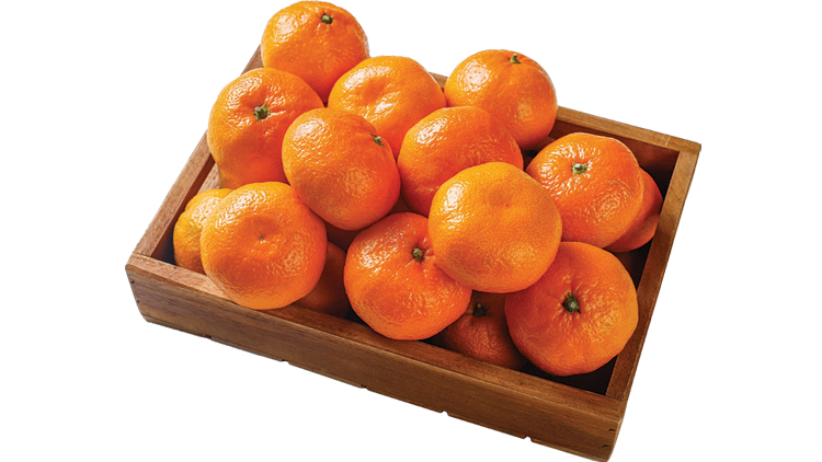 Picture of Mandarin Oranges