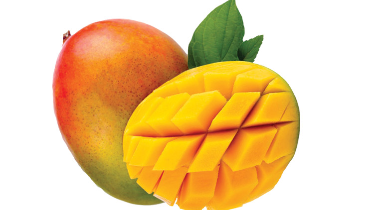 Picture of Large Tropical Mangos