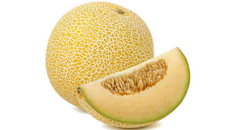 Picture of Canary or Galia Melons