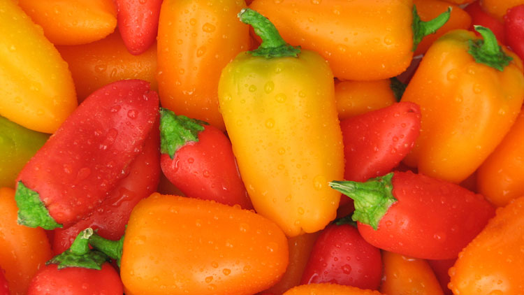 Picture of Mini Sweet Peppers