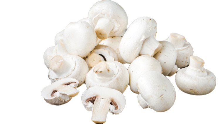 Picture of Whole or Sliced Mushrooms