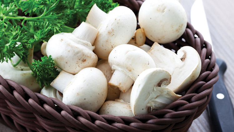 Picture of Whole or Sliced Mushrooms