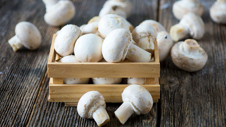 Picture of White Mushrooms