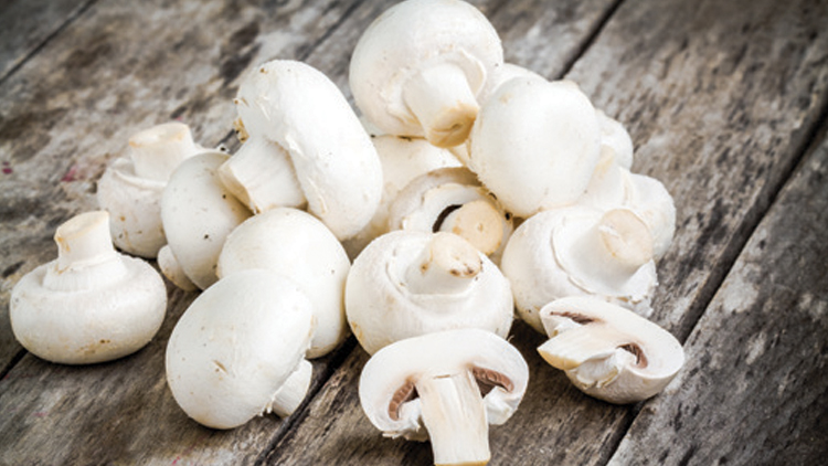 Picture of Whole or Sliced Mushrooms