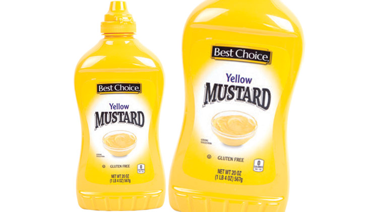 Picture of Best Choice Mustard or Ketchup