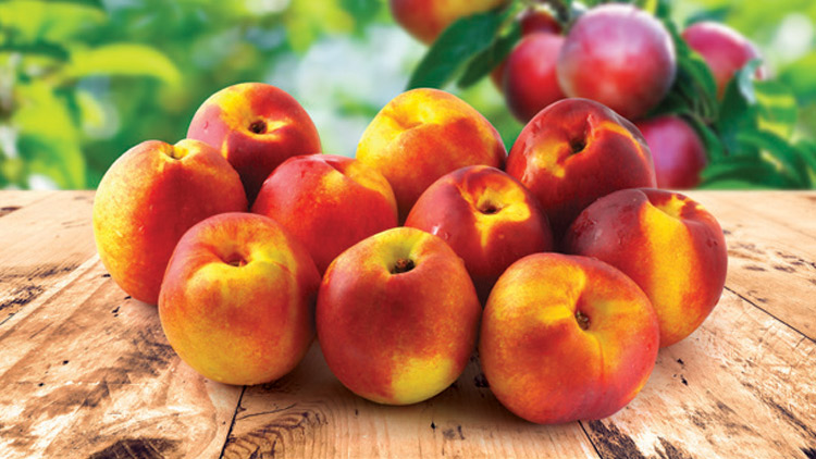 Picture of Yellow Nectarines