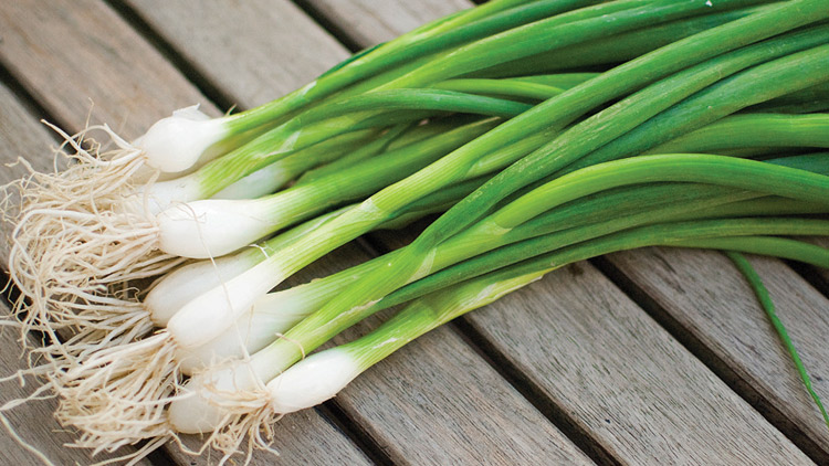Picture of Fresh Green Onions