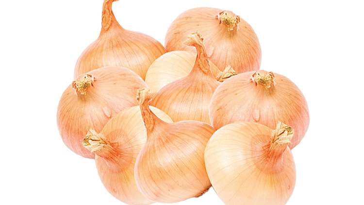 Picture of Real Sweet Jumbo Vidalia Onions