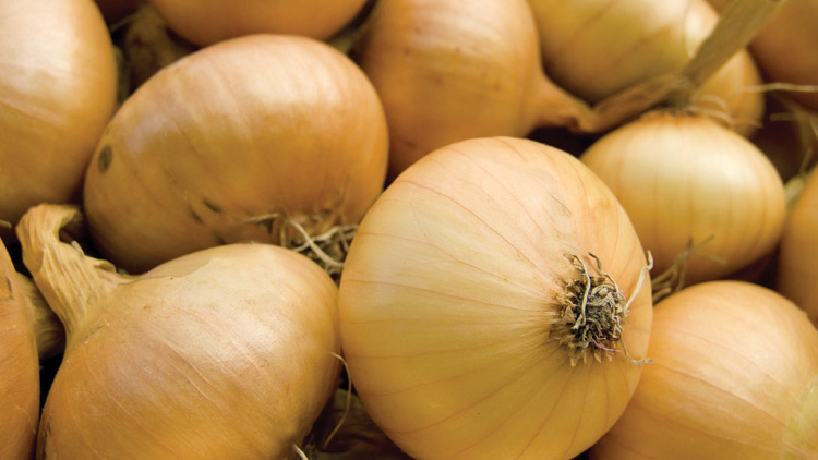 Picture of Vidalia Sweet Onions