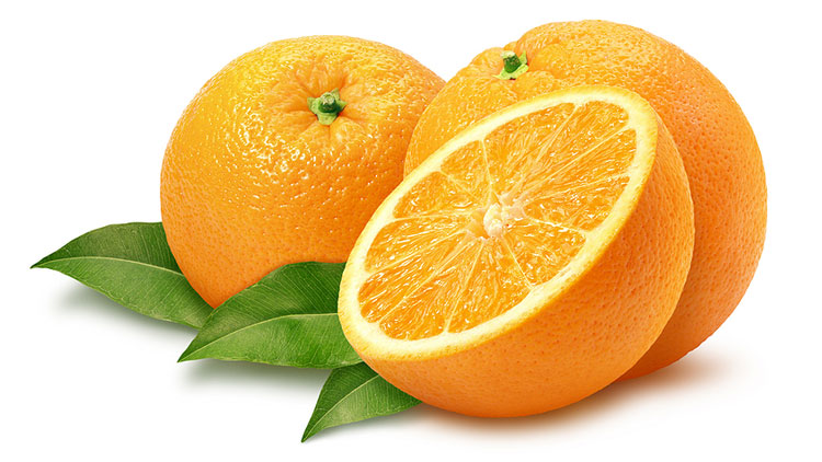Picture of Extra Large Oranges
