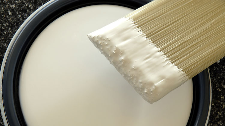 Picture of Ace Better Paint Brush