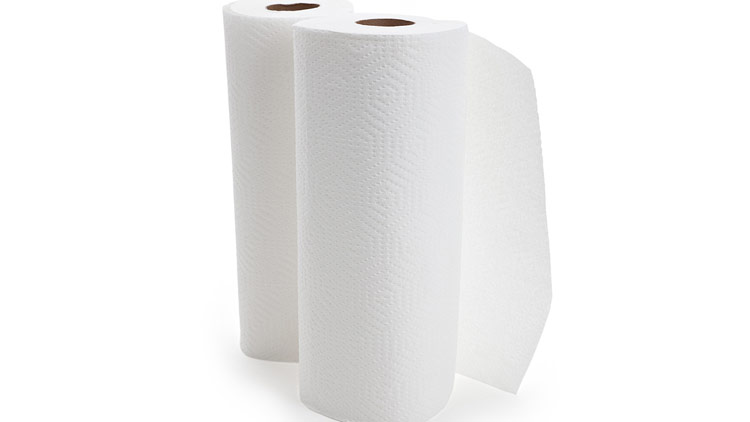 Picture of Fiora Paper Towels