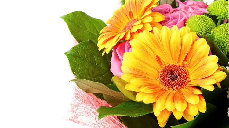 Picture of Summer Sizzler Bouquets