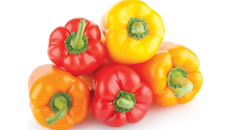 Picture of Assorted Colors Bell Peppers