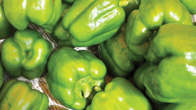 Picture of Fresh Green Bell Peppers
