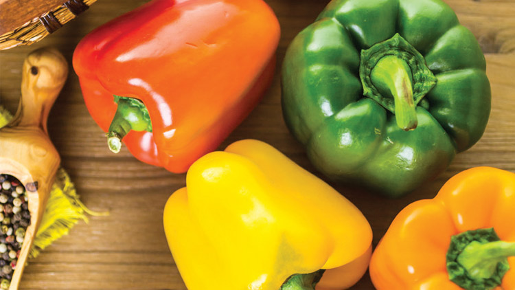 Picture of Assorted Colors Bell Peppers