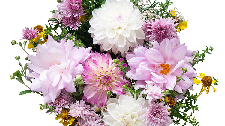 Picture of Let's Dance Bouquets