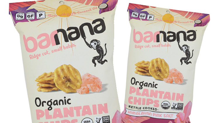 Picture of Barnana Organic Plantain Chips