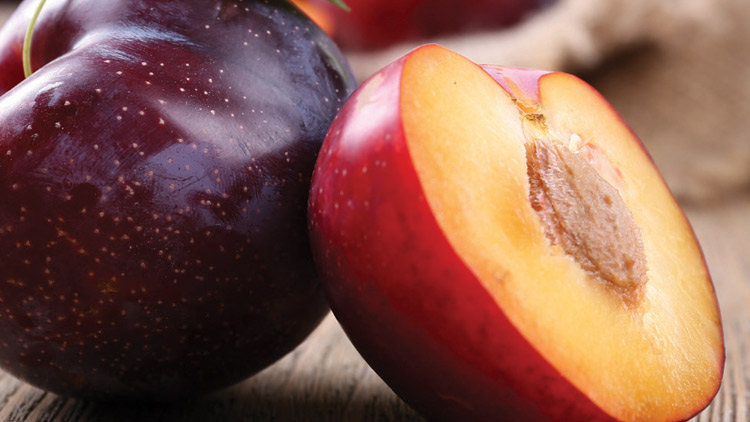 Picture of California Black or Red Plums