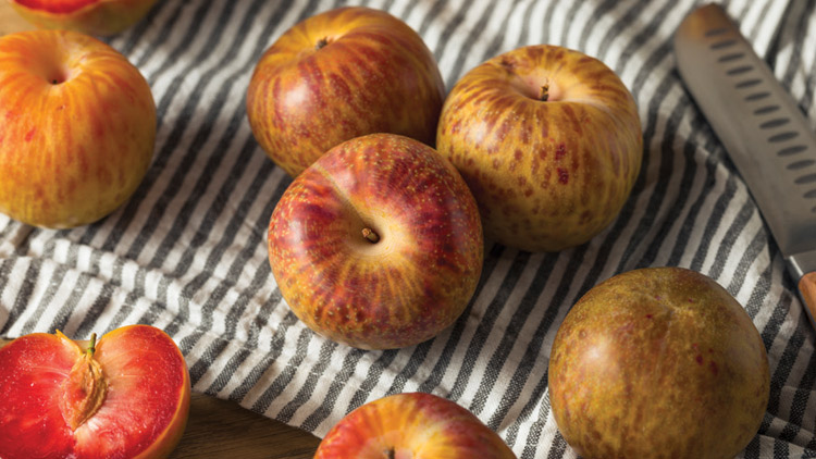 Picture of Fresh Mottled Pluots