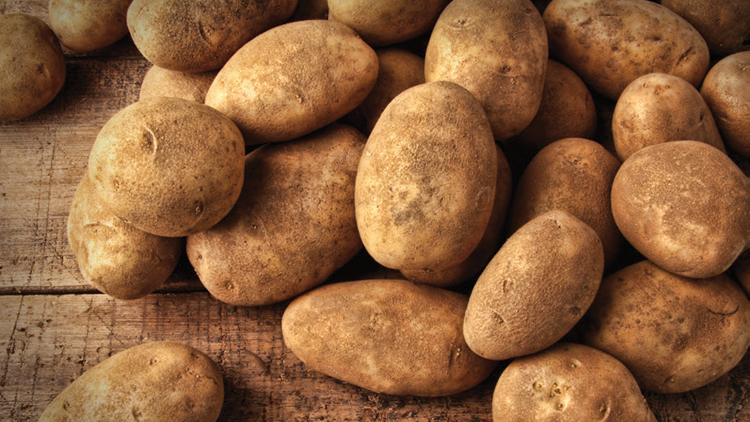 Picture of Idaho Russet Potatoes